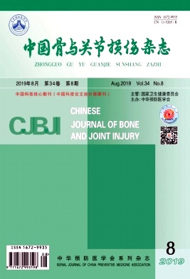 中国骨与关节损伤杂志
